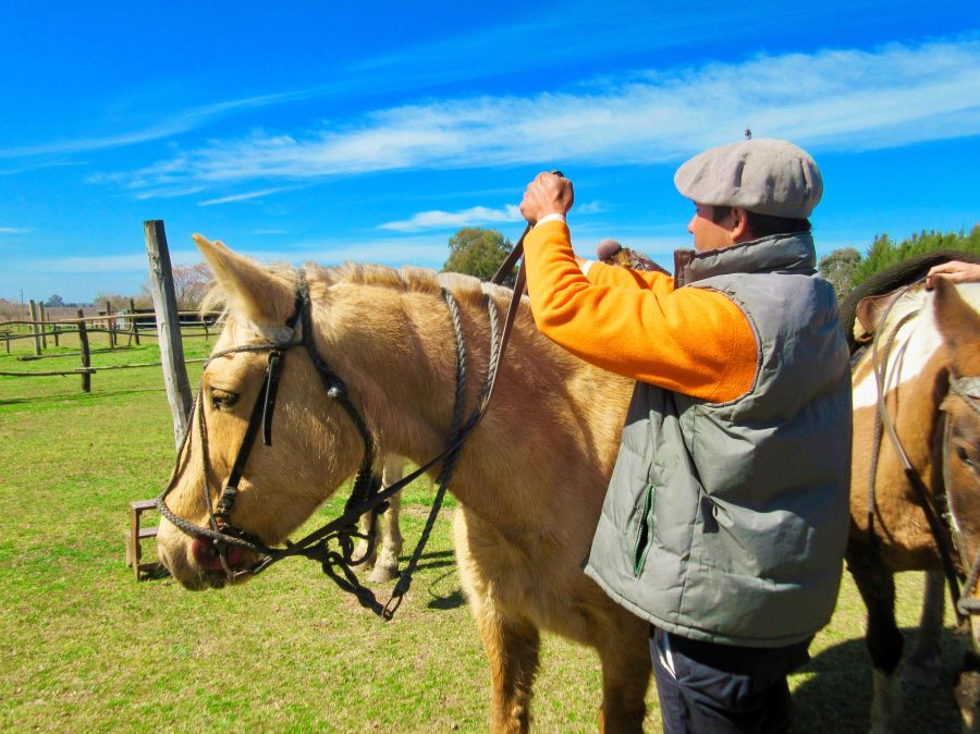 Guides training An Argentinian gaucho prepares for a horseback ride on the Estancia Los Dos Hermanos in the Pampas region outside Buenos Aires argentina,estancia los dos hermanos,zarate