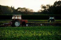 Agriculture farmers The morning harvest 