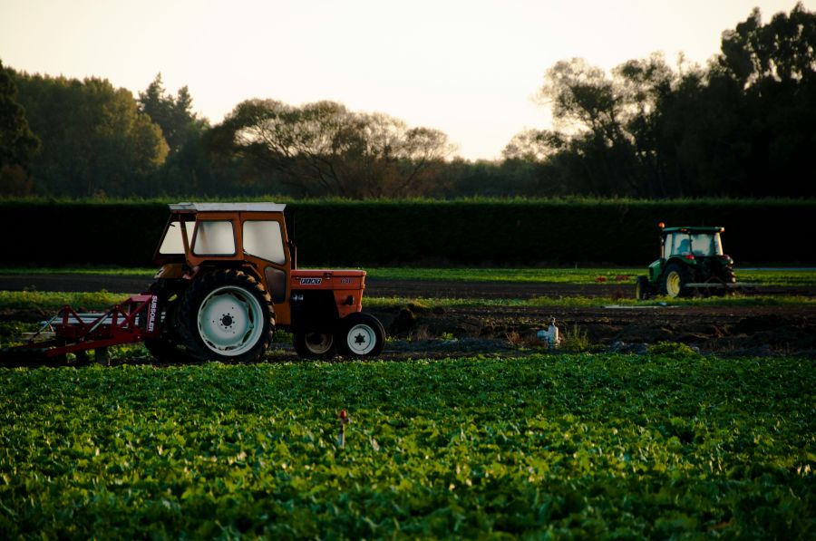 Agriculture farmers The morning harvest 