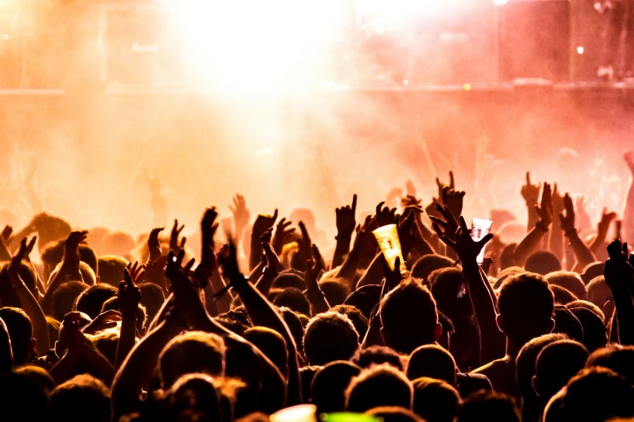 music culture Crowd of people cheering at a live concert 