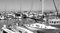 Prefect Boats & Yacht at Pier 39, California. pier,boat,grey