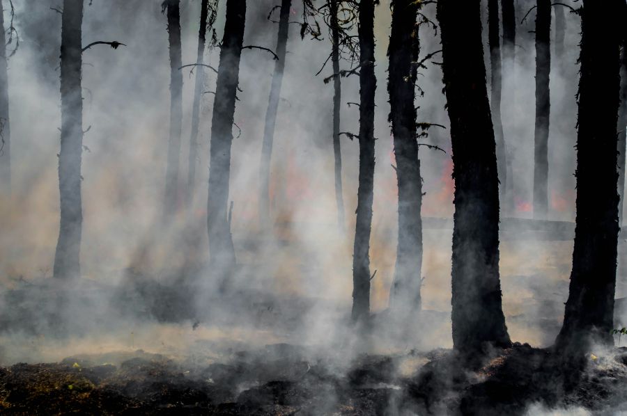 wildfire Smoke and glowing embers dominate the forest as wildland firefighters battle the last of the flames of the Harding Fire in north east Saskatchewan grey,fire,natural disaster