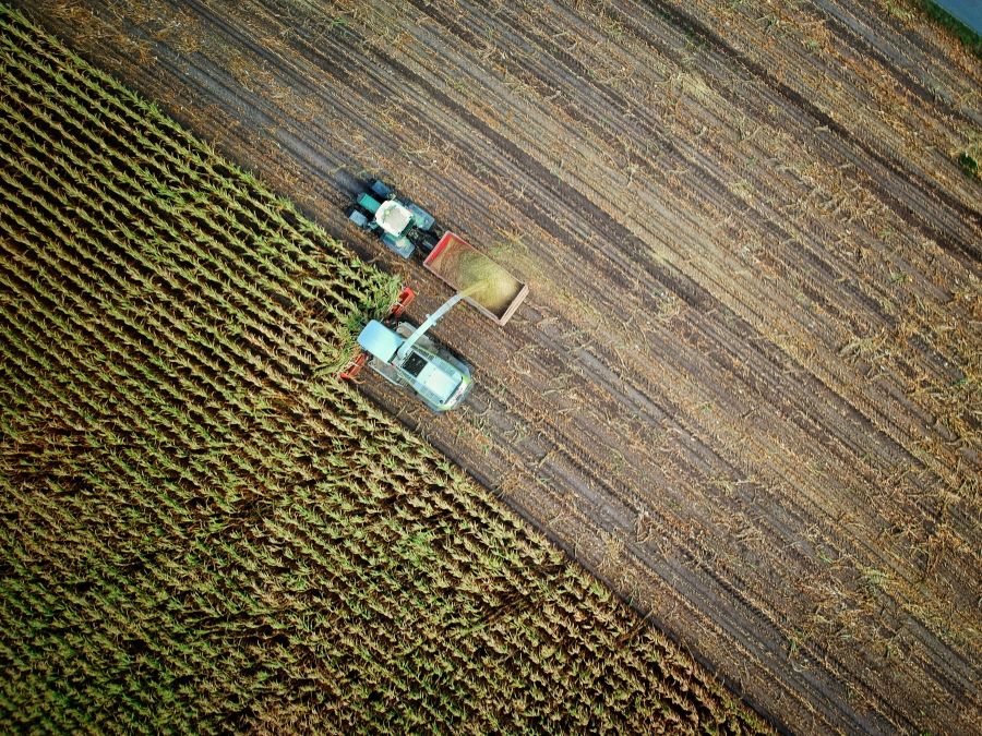 Agriculture Maisernte agriculture,warendorf,germany