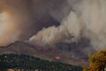 Fire Forest Taken on the day the calwood fire started from the peak to peak highway. Showing the smoke plume created from the fire after growing to 8000 acres within the first 5 hours.