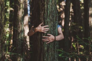 Nature anxiety Are you a nature lover? Well then this is just the photo for you. The closeup of hands gripping a tree give a portrayal of love for nature. That’s what I wanted to show with this picture. 