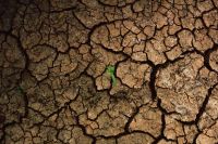 Water shortage through the cracks 