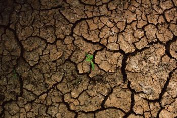 Water shortage through the cracks