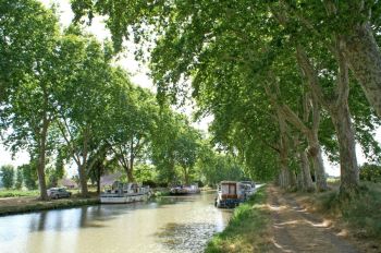Canal Navigation  