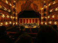 Opera Performance Teatro Argentina 