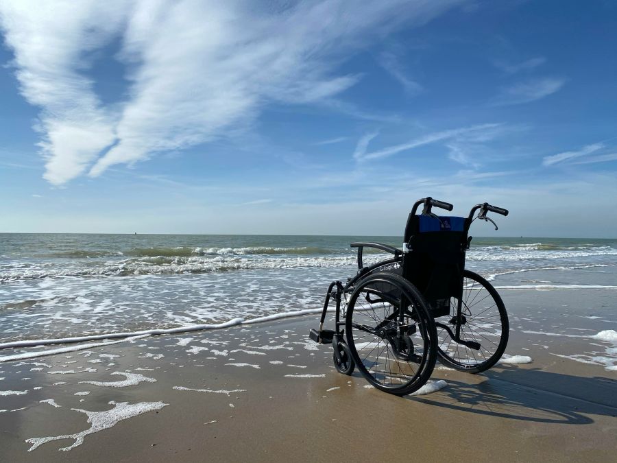 disability support  