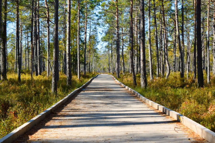 Nature park  