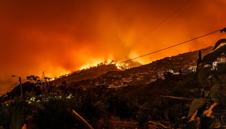 wildfire fire  