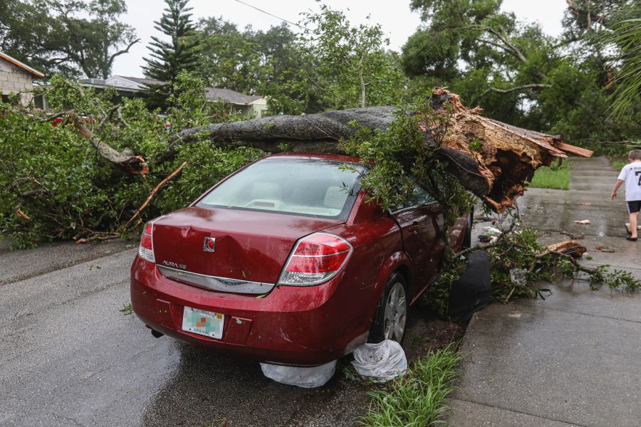 storm fallen A tornado ripped through our neighborhood this afternoon. Lots of damage but everyone seemed to be ok. Several roofs ripped off and lots of trees down. A very infrequent occurrence here in Orlando. fl,car,tree