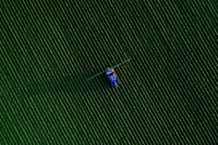 Agriculture Crisis  