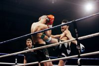 Fighter  