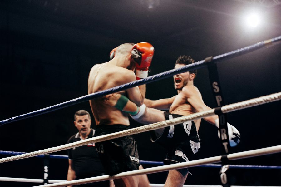 Fighter  