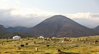 Mongolia Altai mountains, Western Mongolia nature,outdoors,grey