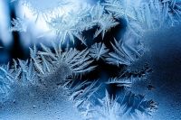 Frost  