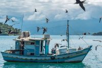 fishing boat  