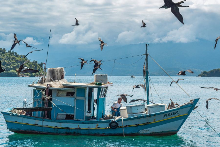 fishing boat  