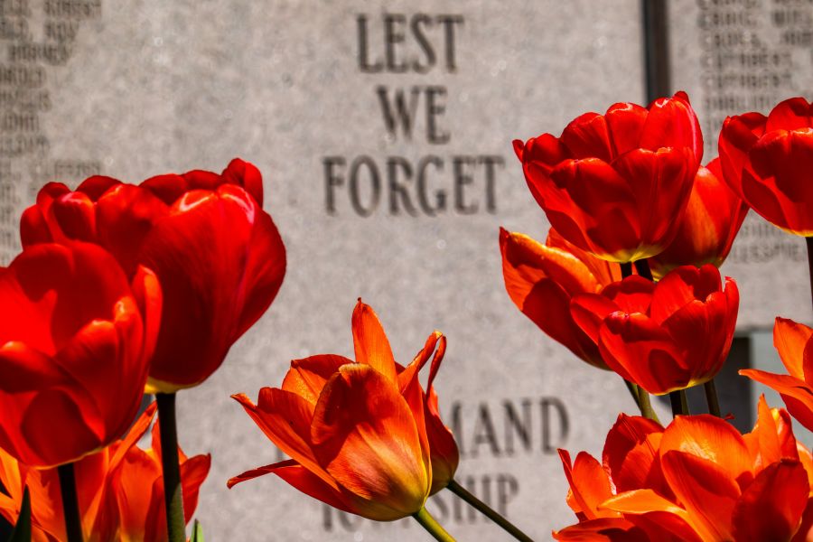 memorial service tulips in front of a war memorial 