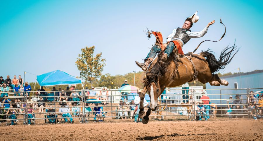 rodeo Feeling like a cowboy yet?  