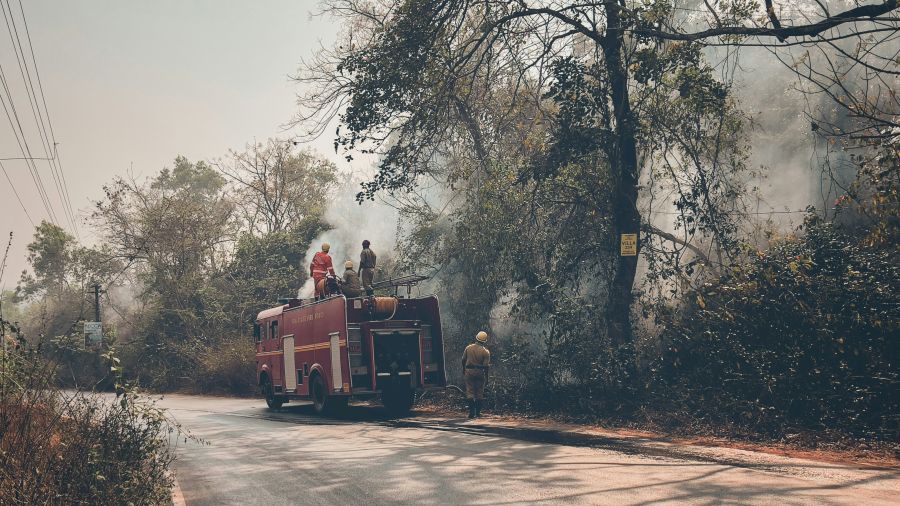 firefighters forest I captured this shot in Goa as well. It was quite a scene with these firefighters on duty, handling a situation in the forest. They stood there, focused and ready, amidst the trees and the smoke. The dedication and teamwork were palpable. It was impressive to see them in action, dealing with the challenges of nature. Moments like these remind me of the hard work and bravery of these individuals. The backdrop of Goa’s lush greenery added a unique contrast to the seriousness of their task. 