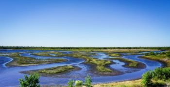 estuary nature Low Tide | Robinson Preserve | Photographer: Joe Whalen 