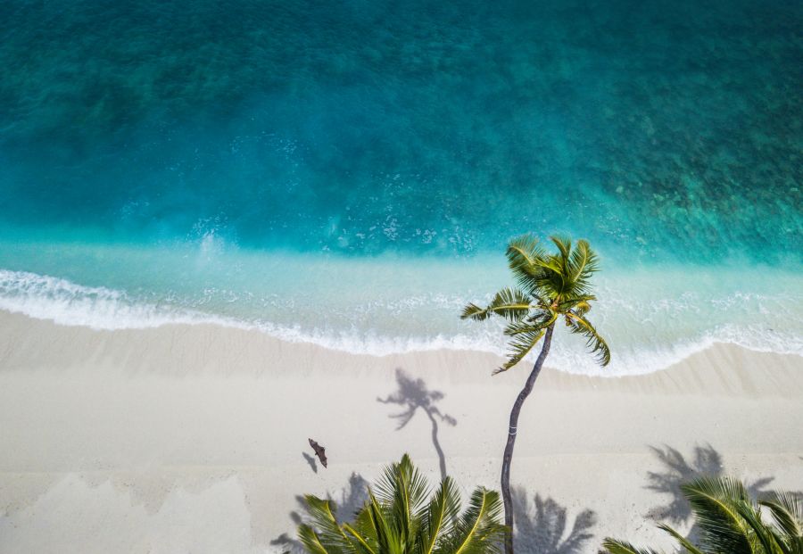 tropical This is my home. Every time I go back to visit, it feels as if I’m on my own island where no one is there. It’s just me and the aqua sea, like my own more positive version of Castaway.