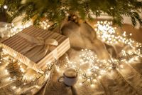 Christmas lights  christmas,brown,holidays