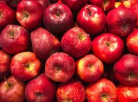 Apple  fruit,food,plant