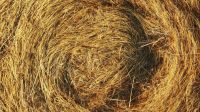 Insulation Straw  