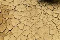 Drought agriculture  