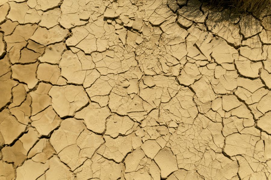 Drought agriculture  