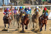 Horse racing Horse racing in Korea 
