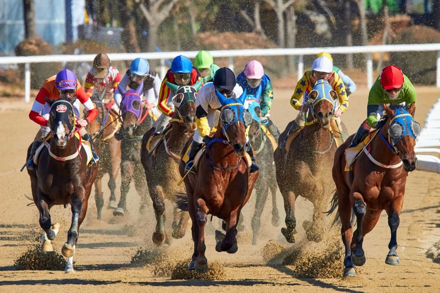 Horse racing Horse racing in Korea 