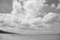 Normandy Weather  grey,honfleur,boulevard charles v