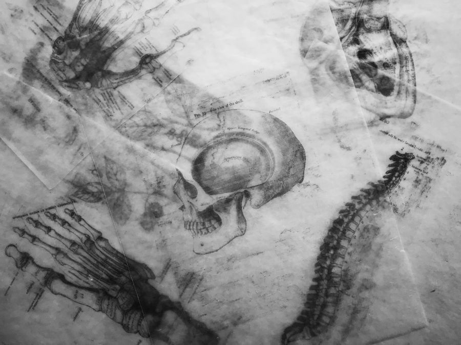 Dead body I was feeling some Halloween spirit in studio today after I found some of my old wax transfers of medical drawings! The diagrams are from the Grey’s Anatomy medical book. Happy Halloween! halloween,grey,human body