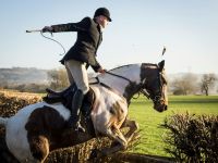 Jumping Equestrian Up and Over. horse,united kingdom,cheshire