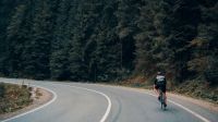 Cycling Carpathian’s Roads tree,outdoor,bike rider