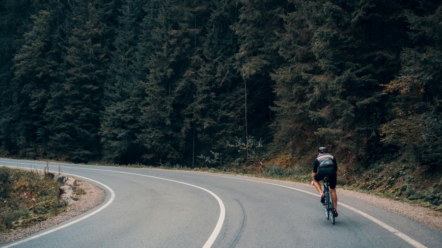 Cycling Carpathian’s Roads tree,outdoor,bike rider