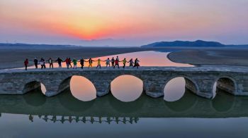 Bridge Celebration
