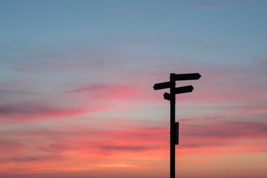 decision life is a succession of choices, what is yours?