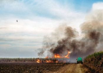 fire agriculture