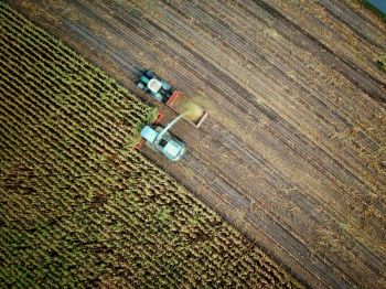farming agriculture Maisernte