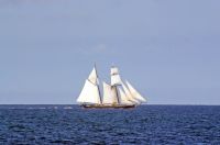 Tall ship Sailing boat at the ocean 
