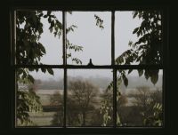 window The English countryside framed through a window 