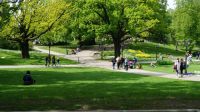 Park renovation  