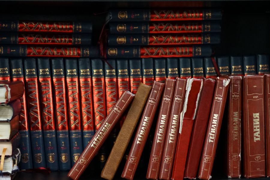 Rabbi  shelf,book,tora