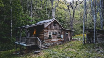 cabin nature